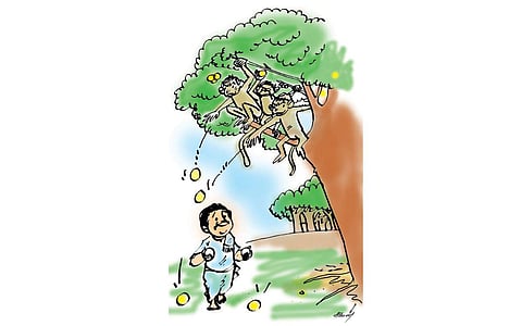 புத்திசாலி மனிதன்