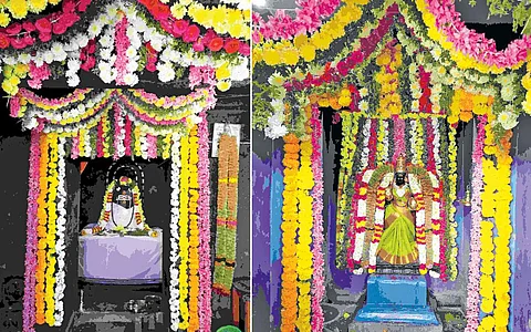 சுகமான வாழ்வருளும் சுகர்!