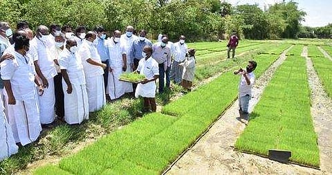 ரூ. 3,225 கோடி மதிப்புள்ள வேளாண் விளைபொருள்கள் பரிவா்த்தனை -அமைச்சா் எம்.ஆா்.கே. பன்னீா்செல்வம்