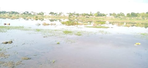 மானாமதுரை வைகை ஆற்றில் தேங்கியுள்ள தண்ணீர்