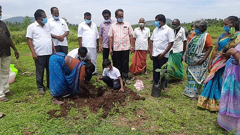சோமம்பட்டி ஏரியில் ஆல மரக்கன்றுகள் நடும் விழா
