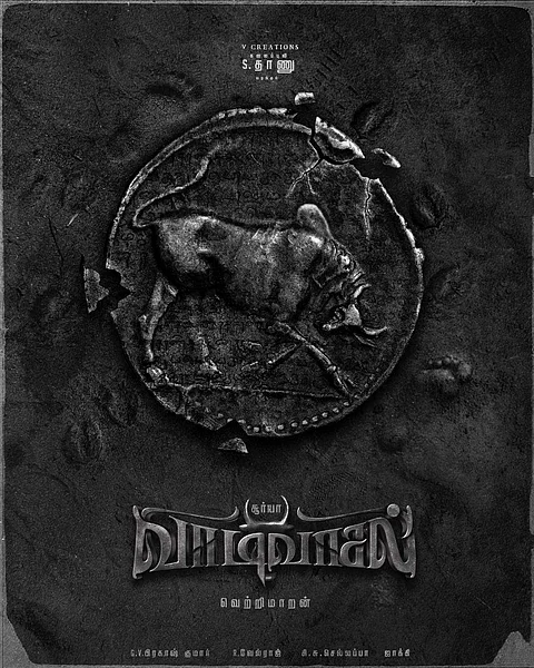வாடிவாசலில் களமிறங்கும் இயக்குநர் அமீர்