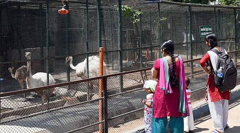இந்திரா காந்தி தேசிய உயிரியல் பூங்கா இன்று திறப்பு ( கோப்பிலிருந்து )