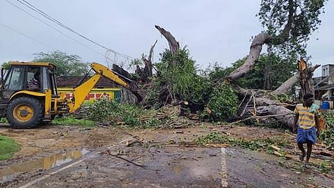 திருத்தணியில் வெள்ளிக்கிழமை மாலை பலத்த காற்றுடன் பெய்த மழைக்கு வேருடன் சாய்ந்த 100 ஆண்டுகள் பழமை வாய்ந்த ஆல மரம்.