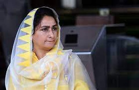 சிரோமணி அகாலி தளத்தின் ஹர்சிம்ரத் கெளர் பாதல் (கோப்புப்படம்)