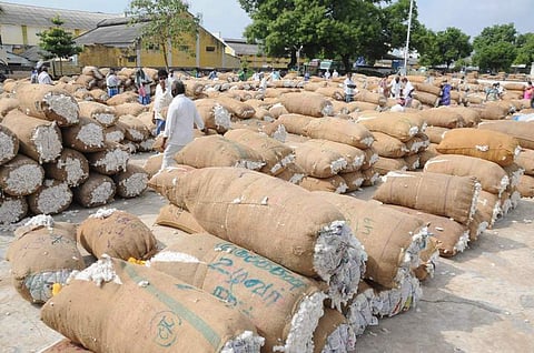 அவிநாசியில் ரூ.11.12 லட்சத்துக்கு பருத்தி ஏலம்