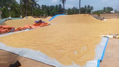 விவசாயிகளுக்கு ரூ.52 கோடி செலவில் தார்ப்பாய்கள்