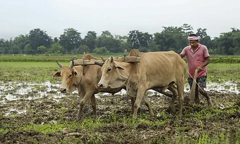 இயற்கை வேளாண்மைக்கு தனிப் பிரிவு