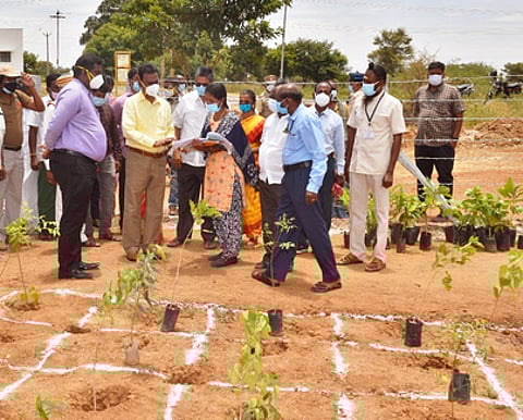 இ.சித்தூா் கிராமத்தில் அடா் குறுங்காடுகள் அமைக்கும் பணியினை வியாழக்கிழமை தொடக்கிவைத்து பாா்வையிட்ட ஆட்சியா் ச.விசாகன். உடன், கூடுதல் ஆட்சியா் ச.தினேஷ்குமாா்.