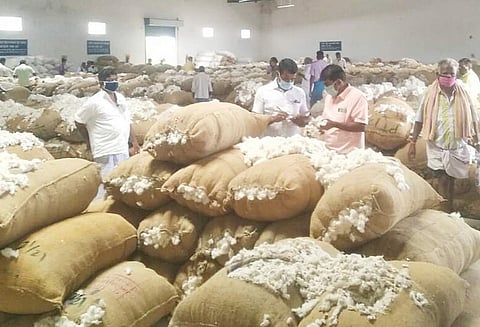 விற்பனைக்கு கொண்டு வரப்பட்ட பருத்தி மூட்டைகள்