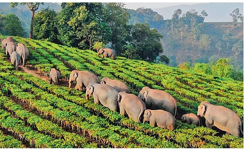 கருவூலம்!: ஜாலி டூர்!