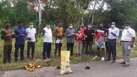 ராணிப்பேட்டை அருகே பனை விதைகளை நடவு செய்யும் பணியில் மண்ணும், மரமும் குழுவினா்.