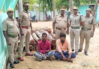 செம்மரம் வெட்டிக் கடத்த முயன்று கைது செய்யப்பட்டவா்களுடன் ஆற்காடு வனச் சரக வனத் துறையினா்.