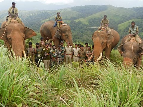 நாடுகாணி, ஜீனபூல் வனப் பகுதியில் கண்காணிப்புப் பணியில் ஈடுபட்டுள்ள கும்கிகள், வன ஊழியா்கள்.