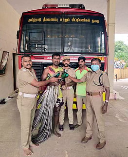 காங்கயம் அருகே 60 அடி ஆழ கிணற்றில் விழுந்த மயில் உயிருடன் மீட்பு