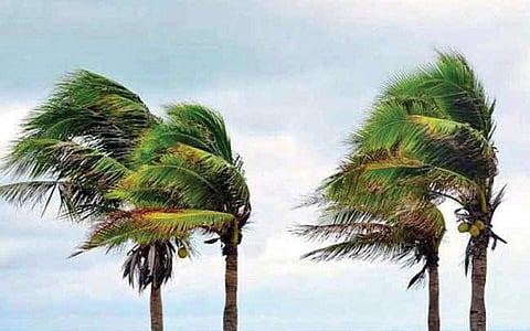 காற்றின் பெயர்கள்