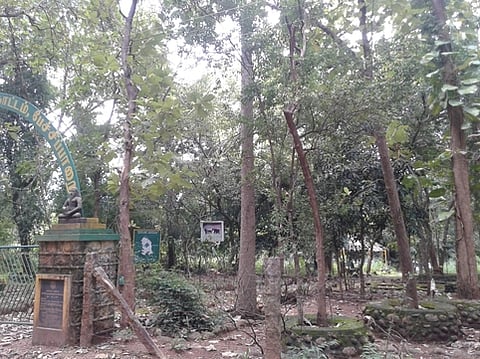 பேச்சிப்பாறையில் பராமரிப்பின்றி காணப்படும் மூலிகைப் பண்ணை.