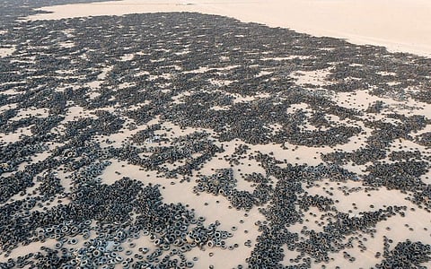 பிரம்மாண்ட டயர் கிடங்கு