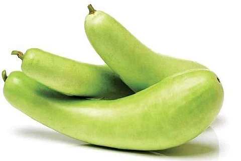தொப்பையைக் குறைக்கும் சுரைக்காய்! இதர பயன்கள் என்னென்ன?