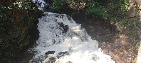 முல்லைப் பெரியாற்றில் தண்ணீர் வெளியேற்றம் நிறுத்தப்பட்டதால் மின்சார உற்பத்தி நிறுத்தம்.