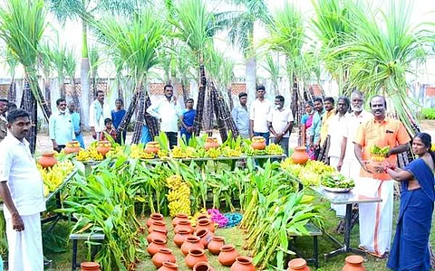 தலைஞாயிறில் பழைய பொருள்களை விற்று கிடைத்த வருமானத்தில் தூய்மைப் பணியாளர்களுக்கு பொங்கல் பொருள்களை வழங்கிய செயல் அலுவலர் கு.குகன் உள்ளிட்டோர்.