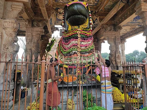 தஞ்சாவூர் பெரியகோயிலில் மகா நந்திகேசுவரருக்கு காய்கனி அலங்காரம்