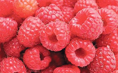 நெல்லி, வெந்தயம் ராஸ்பெரி கலந்த மாற்று தேநீர்...!