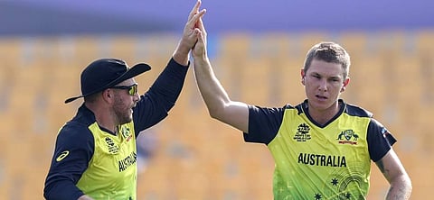 ஃபிஞ்ச், ஸாம்பா