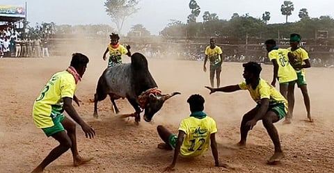 பூலாங்குறிச்சியில் திங்கள்கிழமை நடைபெற்ற வடமஞ்சுவிரட்டில் காளையை அடக்க முயன்ற வீரா்கள்.