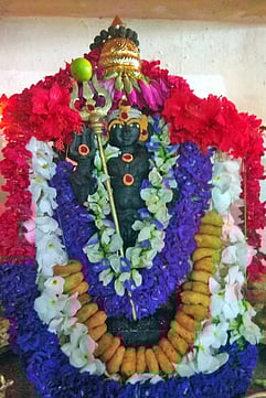 தேய்பிறை அஷ்டமி அலங்காரத்தில் கோப்பணம்பாளையம் மாசாணியம்மன் கோயிலில் எழுந்தருளியுள்ள பைரவா்.