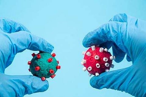 ஒமைக்ரான் பாதிப்பு குறித்த ஆய்வில் கிடைத்த அதிர்ச்சித் தகவல்