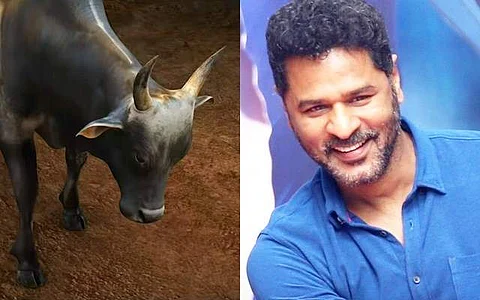 பிரபு தேவா நடிக்கும் 'ரேக்ளா' : வெளியான முக்கிய தகவல்