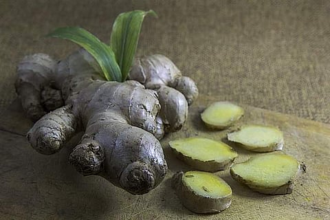 சுகம் தரும் சித்த மருத்துவம்: சுக்கிற்கு மிஞ்சிய மருந்தில்லை ஏன் தெரியுமா? - பகுதி -1