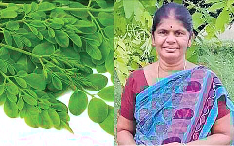 முருங்கை எண்ணெய் லிட்டர் ரூ. 5000