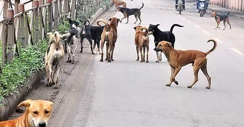 கோப்புப் படம்