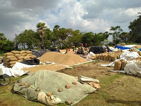 தடப்பள்ளி-அரக்கன்கோட்டை பாசனப் பகுதியில் நேரடி நெல் கொள்முதல் நிலையத்தில் திறந்துவெளியில் கொட்டிவைக்கப்பட்டுள்ள நெல்.