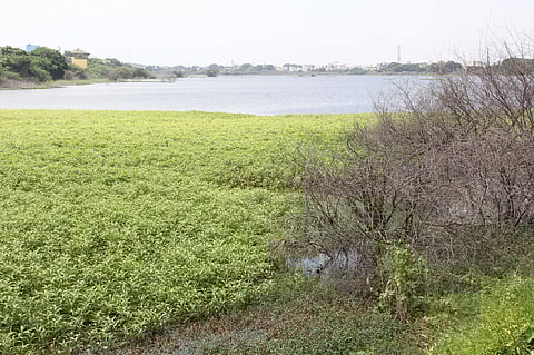 ஆக்கிரமிப்புகளால் சுருங்கி வரும் காக்களூா் ஏரி