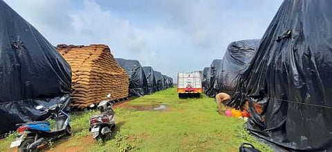 தருமபுரி அருகே திறந்தவெளி நெல் மூட்டைகள் சேமிப்புக் கிடங்கில் ஏற்பட்ட தீயினால் சேதமடைந்த நெல் மூட்டைகள்.