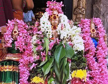 சிறப்பு அலங்காரத்தில் அருள்பாலித்த வள்ளி, தெய்வானை உடனமா் சண்முகநாதா்.