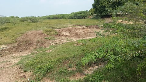 ராமநாதபுரம் மாவட்டத்தில் வைகை பாசனநீா் செல்லாமல் வடு கிடக்கும் 48 கண்மாய்கள்