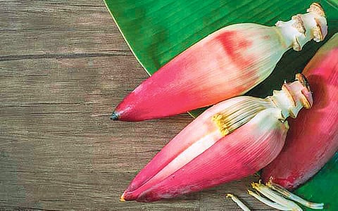 மருத்துவக் குறிப்புகள்...