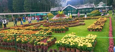 ooty