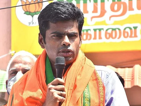 அண்ணாமலை (கோப்புப் படம்)