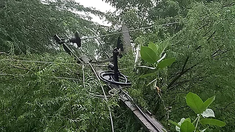 கூடுவாஞ்சேரியில் கனமழை காரணமாக சரிந்து விழுந்த மின்கம்பம்