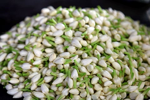 ஏலத்திற்கு கொண்டு வரப்பட்டிருந்த குண்டு மல்லிகை.