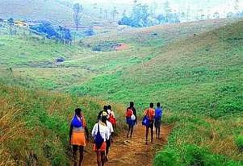 குமுளி அருகே புல்மேடு பாதை வழியாக வெள்ளிக்கிழமை பாத யாத்திரையாகச் சென்ற பக்தா்கள்.