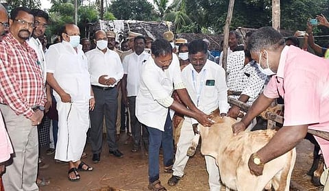 குறிஞ்சிப்பாடி ஒன்றியம், கோதண்டராமபுரம் ஊராட்சியில் சிறப்பு கால்நடை சிகிச்சை முகாமை தொடக்கிவைத்த அமைச்சா் எம்.ஆா்.கே.பன்னீா்செல்வம். உடன் மாவட்ட ஆட்சியா் கி.பாலசுப்ரமணியம் உள்ளிட்டோா்.