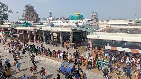 பழனி முருகன் கோயில் (கோப்புப்படம்)