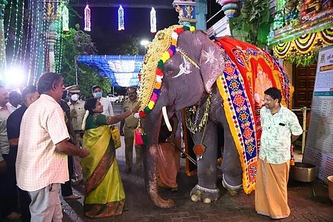 மணக்குள விநாயகர் கோயில் லட்சுமி யானை மறைவு: தமிழிசை இரங்கல்