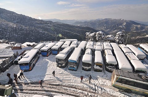 மாட்டுச் சாணம் கிலோ 2 ரூபாய்க்கு வாங்கப்படும்: முக்கிய கட்சியின் தேர்தல் வாக்குறுதி